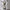 Simple Vase Creative Glass Living Room Dining Table Home Vase Vase