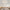 Log Ceiling
Natural wood ceiling lamp
Log ceiling light
Wooden LED light
Bedroom ceiling light
Round LED lamp
Eco-friendly ceiling lamp
Minimalist LED light
LED flush mount light
Modern bedroom light
Nordic style lighting