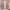 Bedroom Shading Wedding Home Double Open Curtain Finished Set