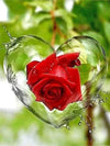 Modern Rose Flower Canvas Wall Art Poster