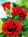 Modern Rose Flower Canvas Wall Art Poster