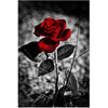 Modern Rose Flower Canvas Wall Art Poster