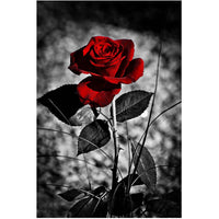 Modern Rose Flower Canvas Wall Art Poster