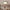 Wooden ceiling lamp

Vintage ceiling fixture

Antique ceiling lamp

Living room main lamp

Walnut ceiling light

Classic style lighting

Patterned ceiling light

Traditional living room light

Decorative ceiling lamp

Retro home lighting

